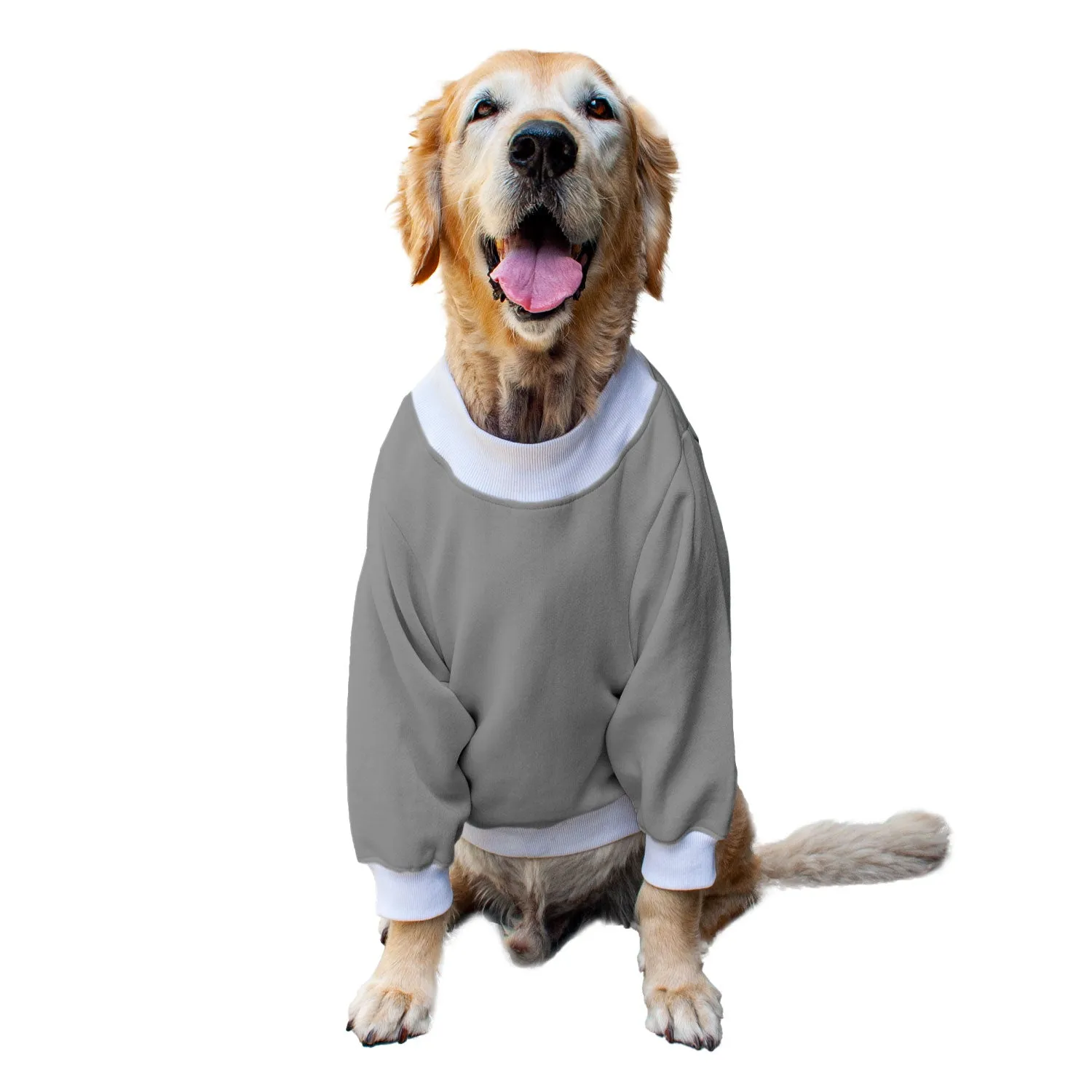 Ruse 'Basics' Crafty Crew Neck Full Sleeve Plain Sweatshirt For Dogs