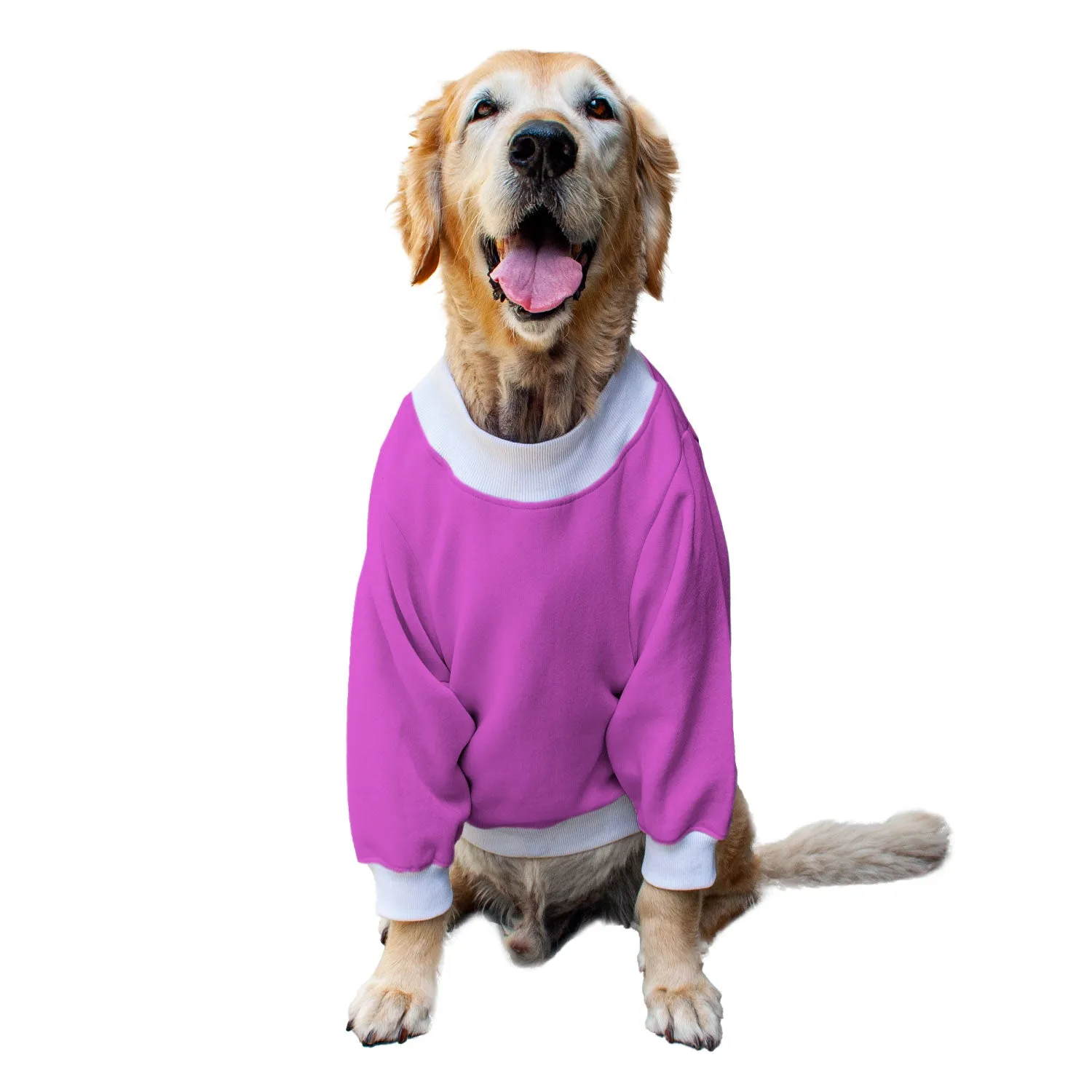 Ruse 'Basics' Crafty Crew Neck Full Sleeve Plain Sweatshirt For Dogs