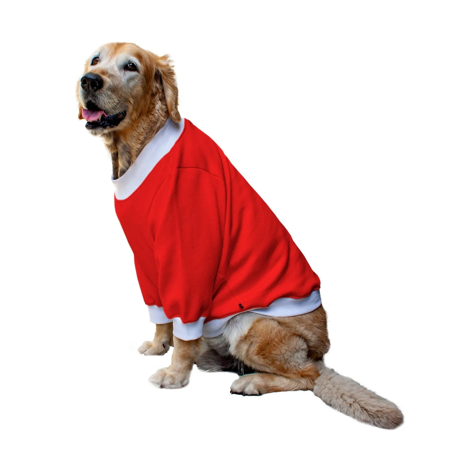 Ruse 'Basics' Crafty Crew Neck Full Sleeve Plain Sweatshirt For Dogs