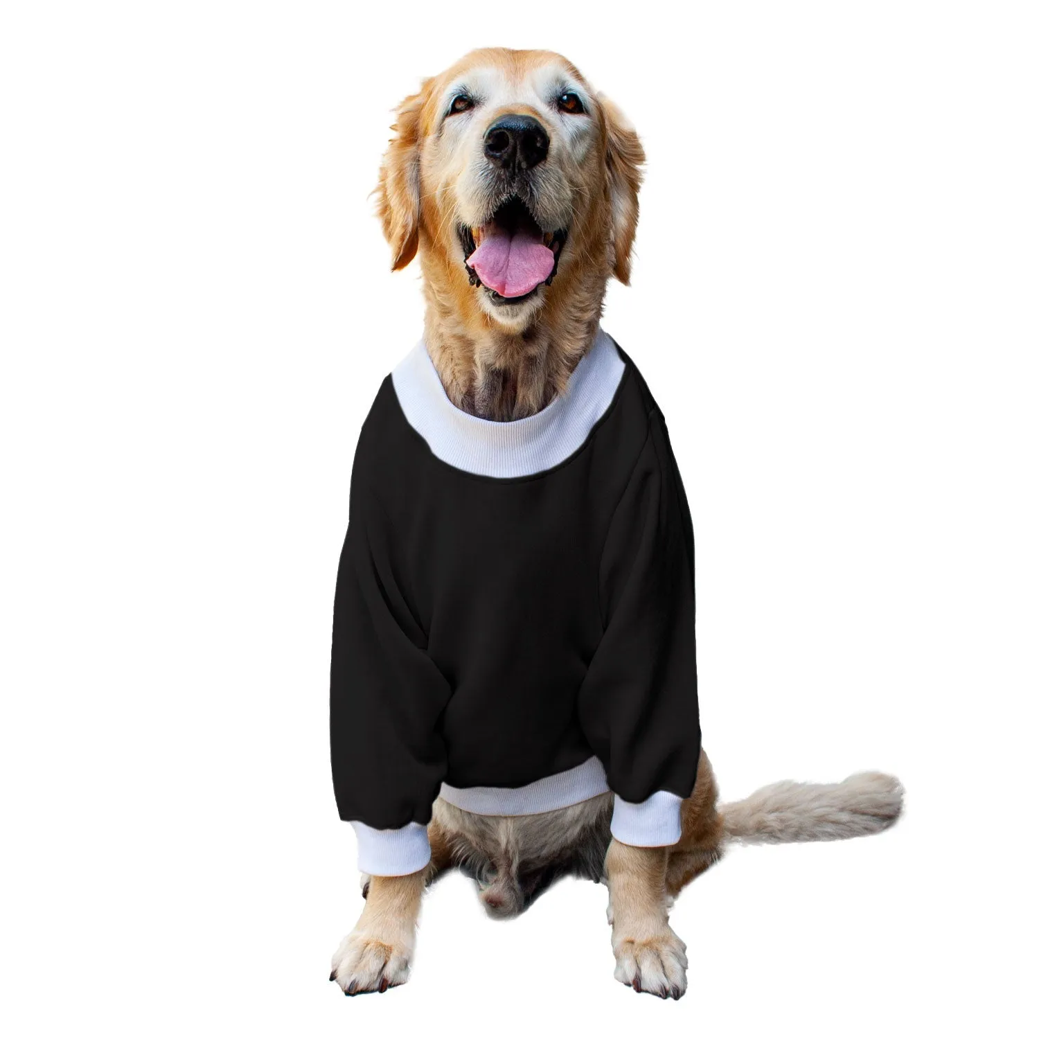 Ruse 'Basics' Crafty Crew Neck Full Sleeve Plain Sweatshirt For Dogs