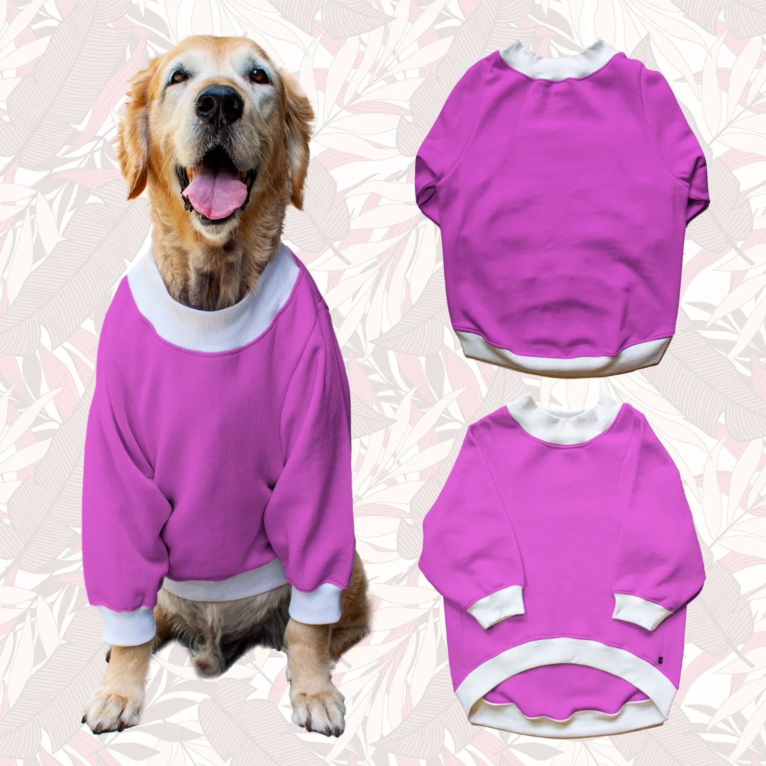 Ruse 'Basics' Crafty Crew Neck Full Sleeve Plain Sweatshirt For Dogs