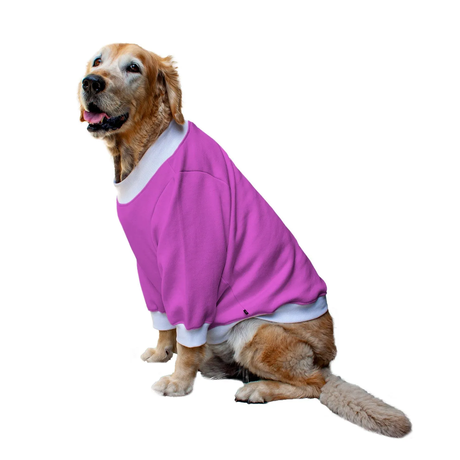 Ruse 'Basics' Crafty Crew Neck Full Sleeve Plain Sweatshirt For Dogs